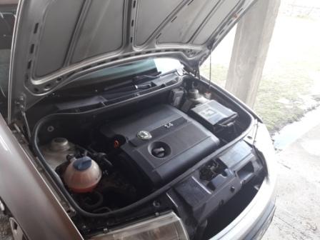 alternator-problems-screeching noise